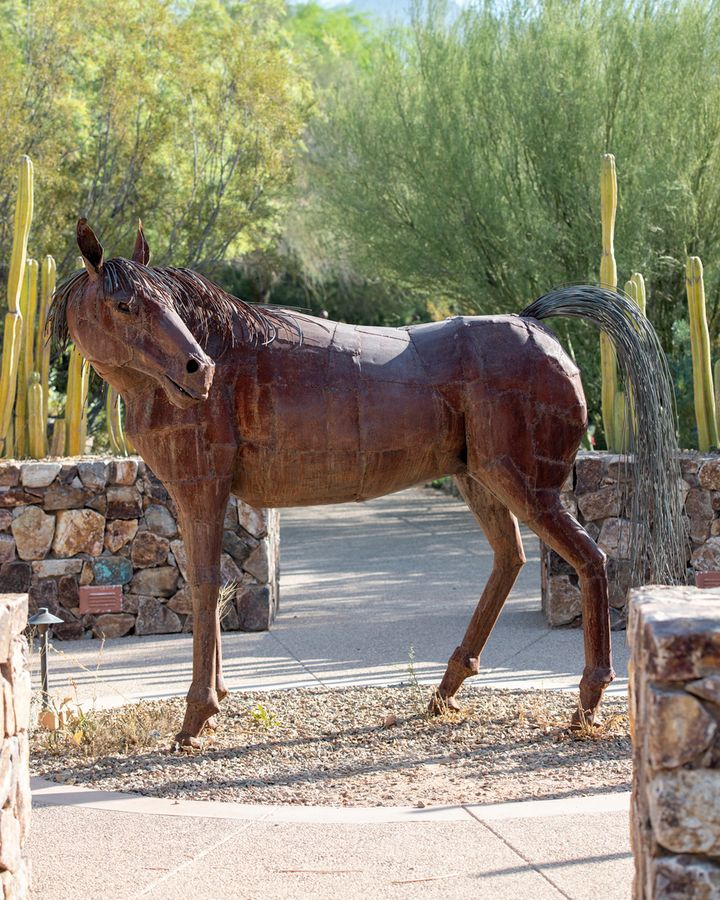 Tohono Chul, Tucson_ Credit Enrique Noriega