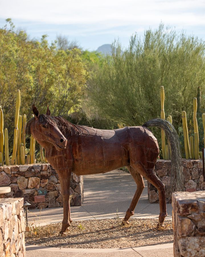 Tohono Chul, Tucson_ Credit Enrique Noriega