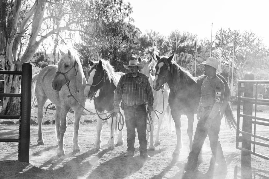 White Stallion Ranch, Tucson_credit Enrique Noriega