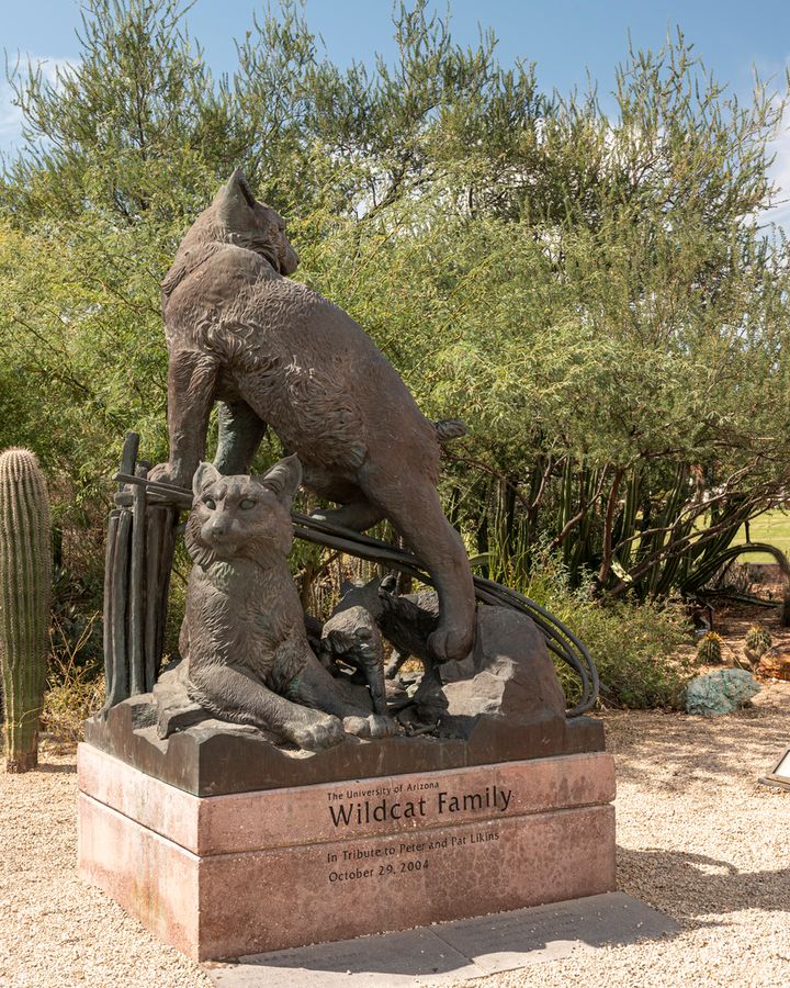 University of Arizona, Tucson_credit Enrique Noriega