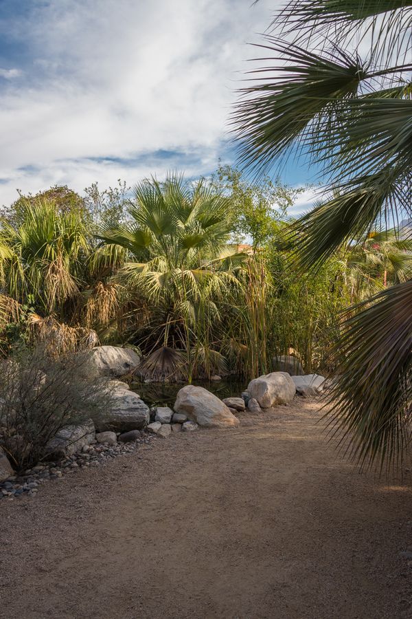 Arizona-Sonora Desert Museum, Tucson_credit Pedro J. Berruecos