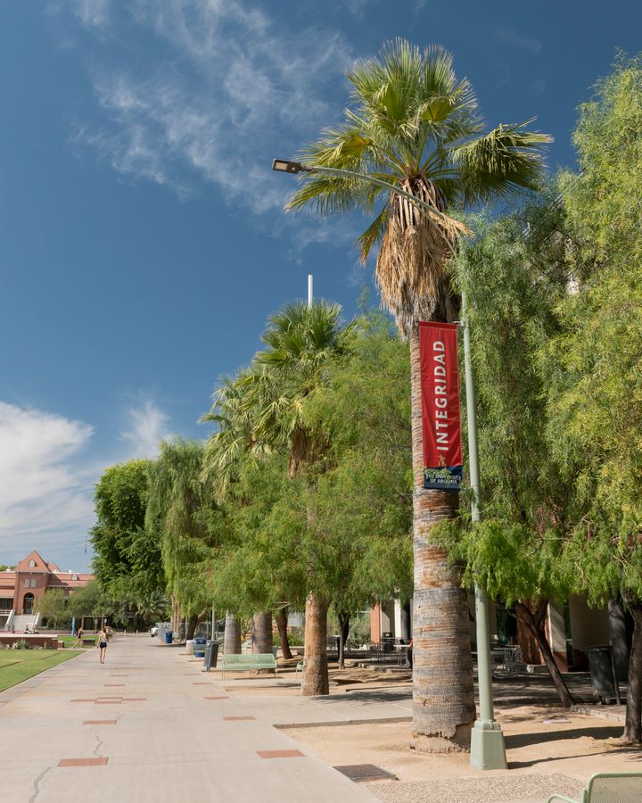 University of Arizona, Tucson_credit Enrique Noriega