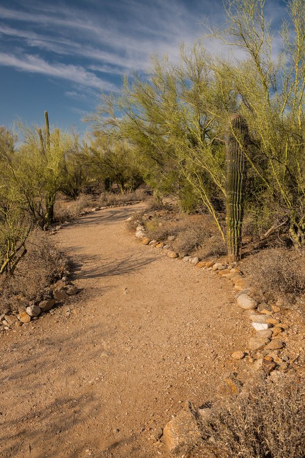 Arizona-Sonora Desert Museum, Tucson_credit Pedro J. Berruecos