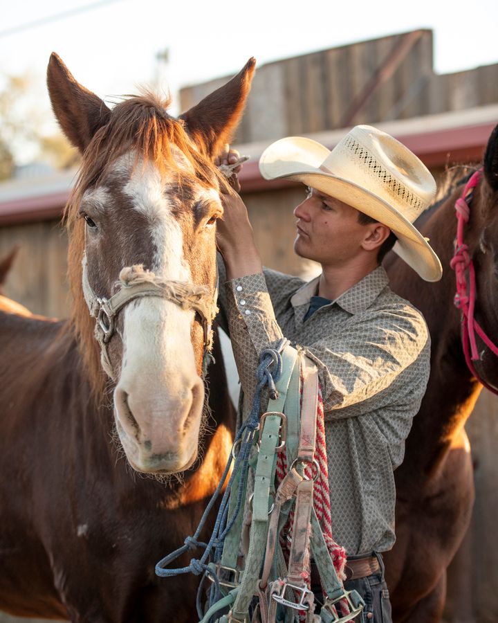 White Stallion Ranch, Tucson_credit Andrés Lobato