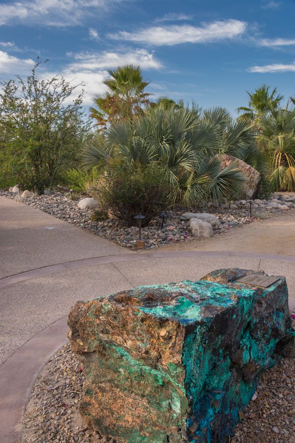 Arizona-Sonora Desert Museum, Tucson_credit Pedro J. Berruecos