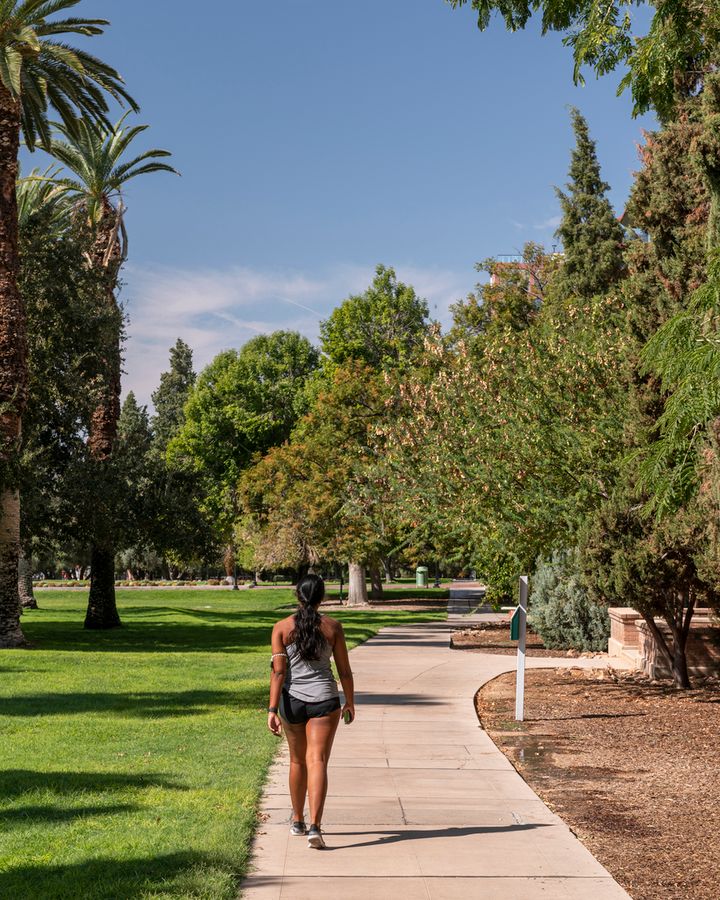 University of Arizona, Tucson_credit Enrique Noriega