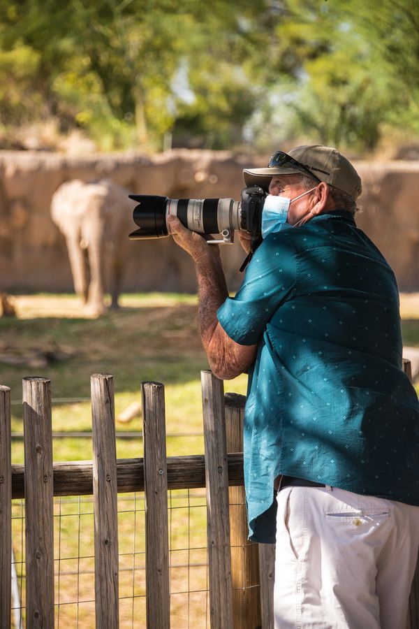 Reid Park Zoo, Tucson_credit Pedro J. Berruecos