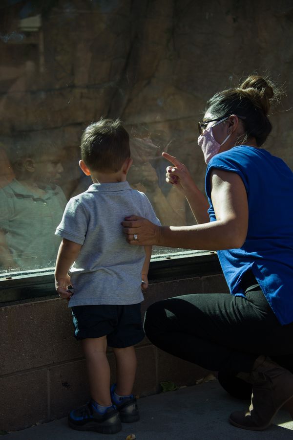 Reid Park Zoo, Tucson_credit Pedro J. Berruecos