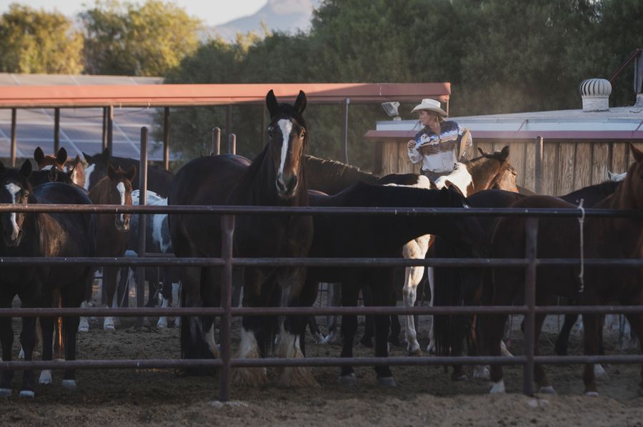 White Stallion Ranch