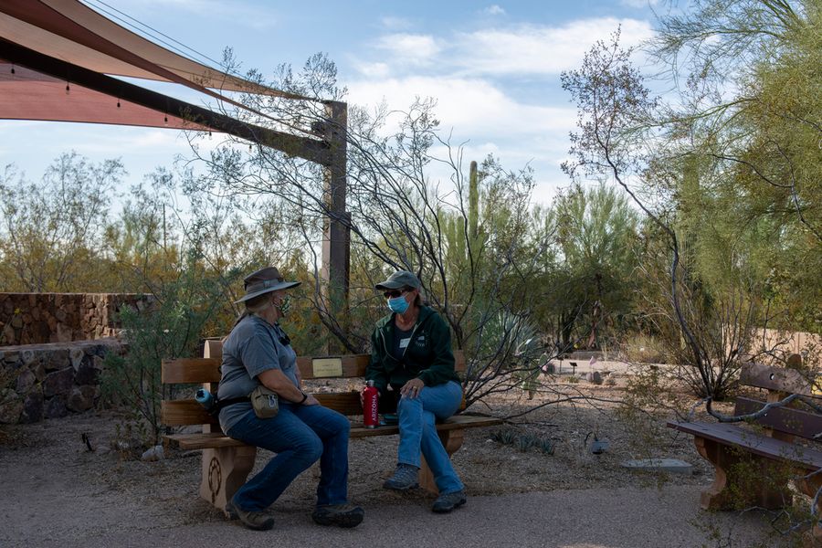 Tumamoc Hill, Tucson credit Ulises Escobar