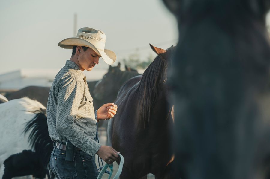 White Stallion Ranch