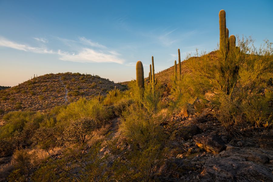 Sentinel Peak