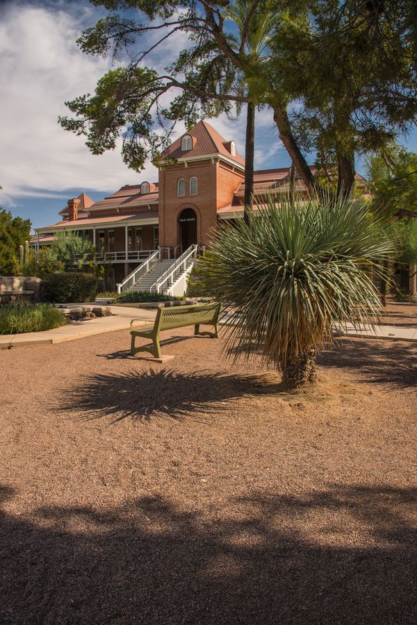 University of Arizona, Tucson_credit Pedro J. Berruecos