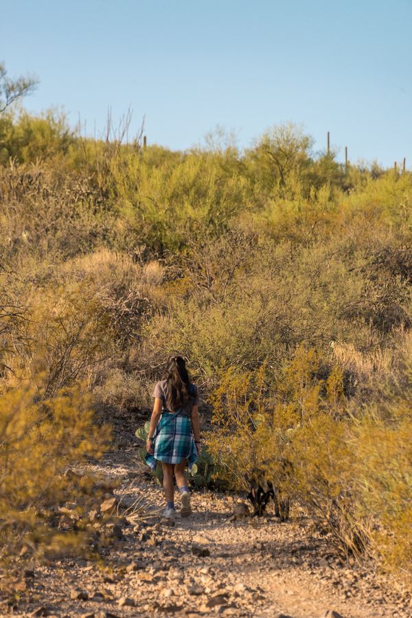 Sentinel Peak, Tucson_Credit Pedro J. Berruecos