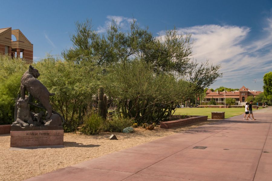 University of Arizona, Tucson_credit Pedro J. Berruecos