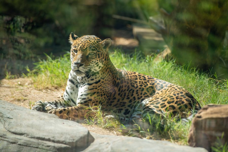 Reid Park Zoo, Tucson_credit Ulises Escobar