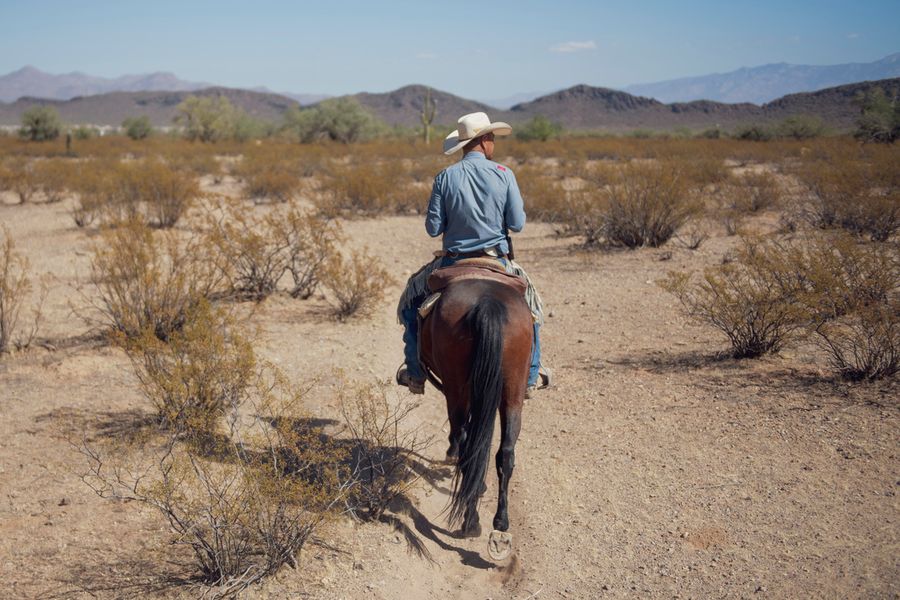 White Stallion Ranch