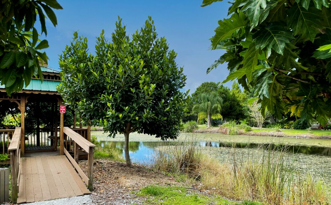 Palma Sola Botanical Park