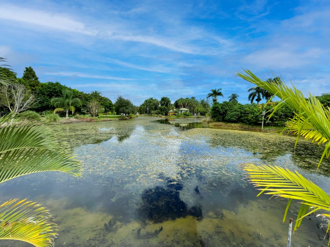 Palma Sola Botanical Park