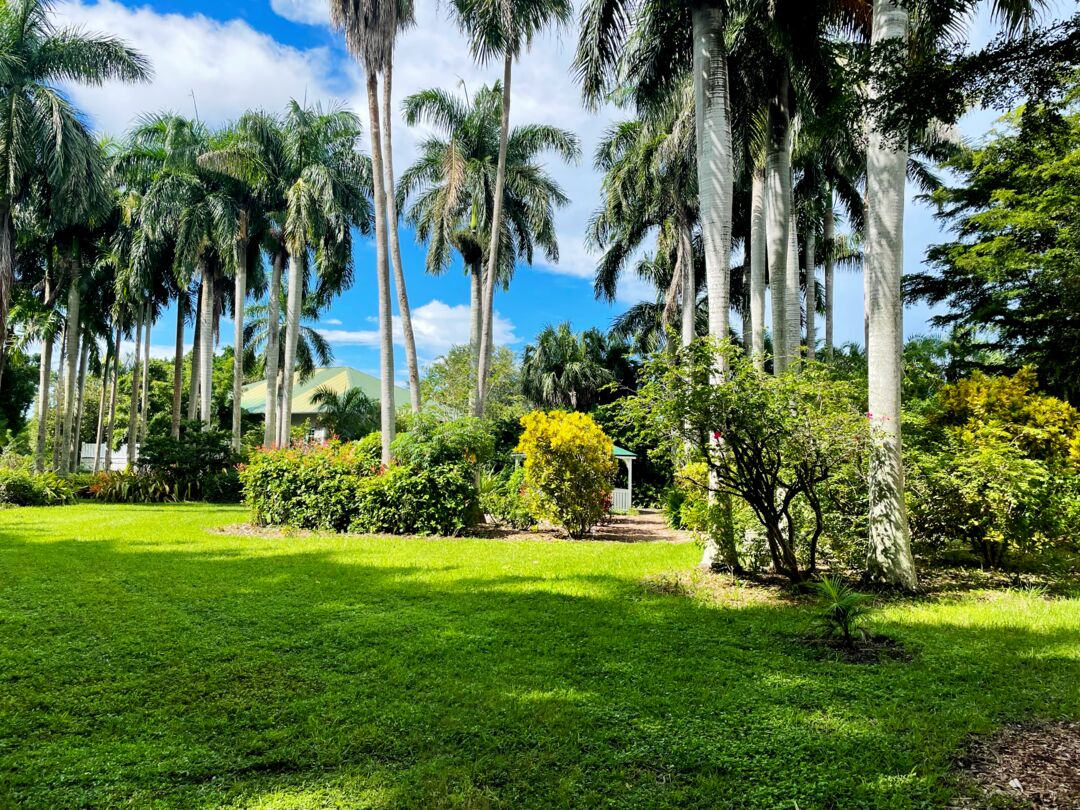 Palma Sola Botanical Park