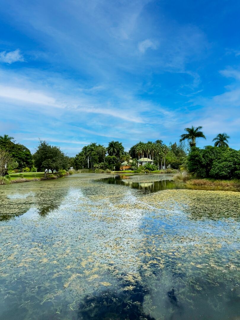 Palma Sola Botanical Park