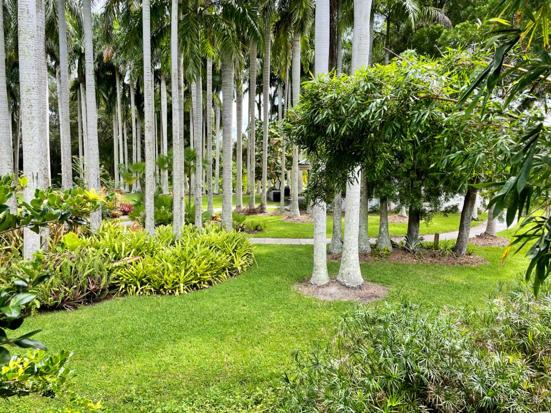 Palma Sola Botanical Park