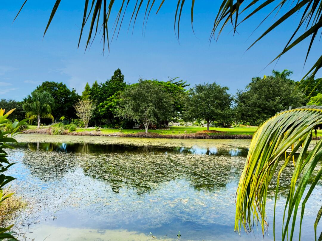 Palma Sola Botanical Park
