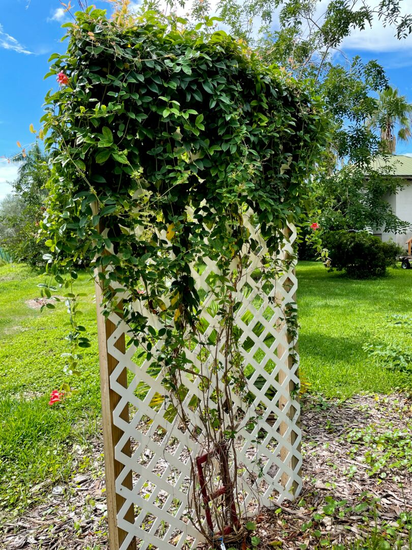 Palma Sola Botanical Park