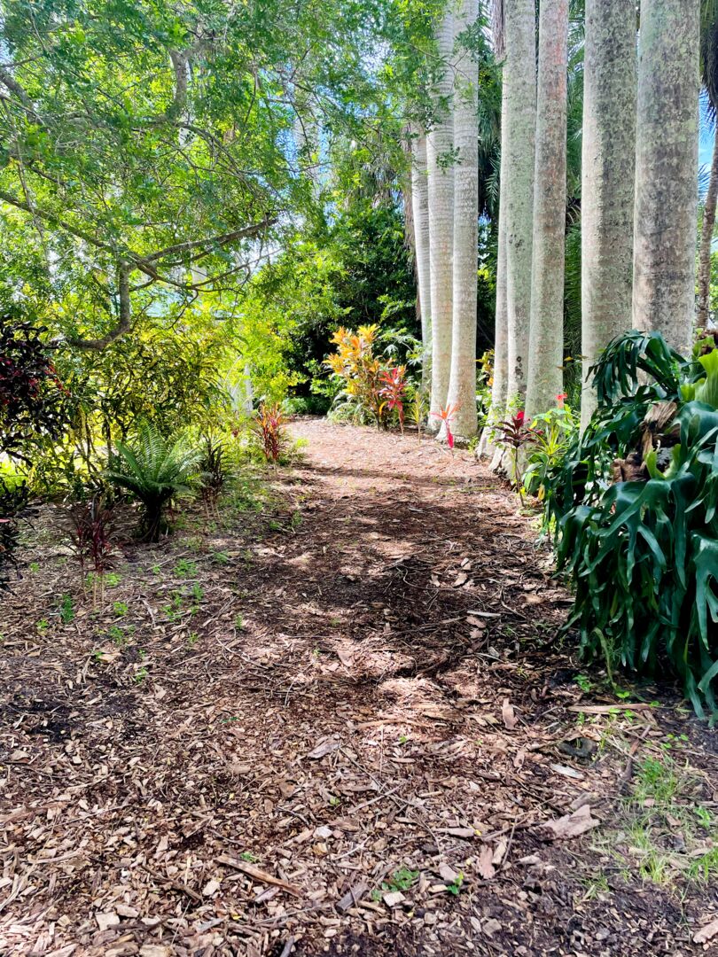Palma Sola Botanical Park