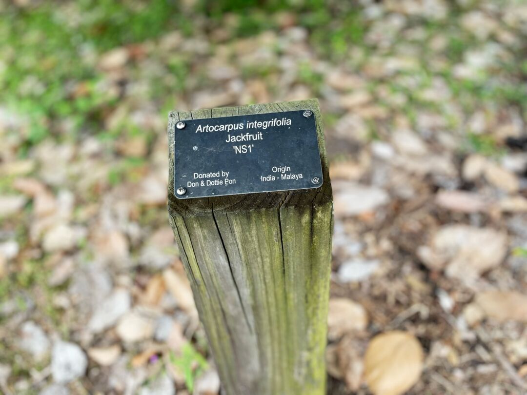 Palma Sola Botanical Park