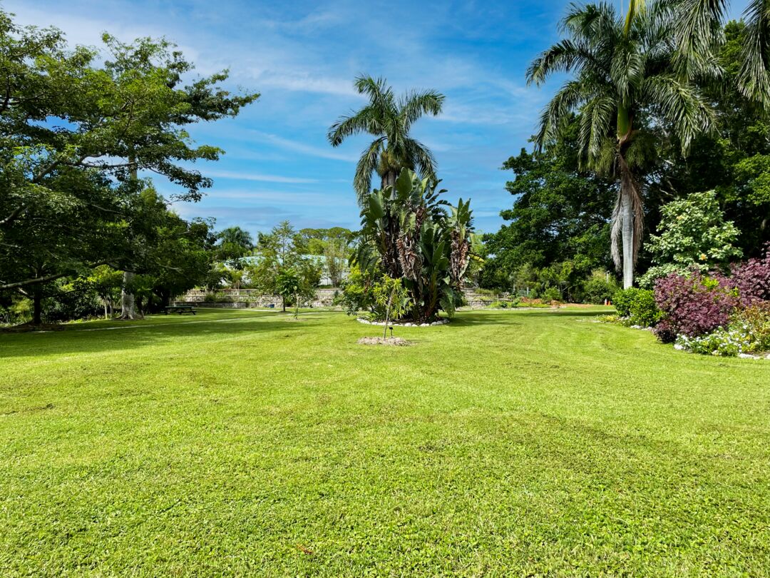 Palma Sola Botanical Park