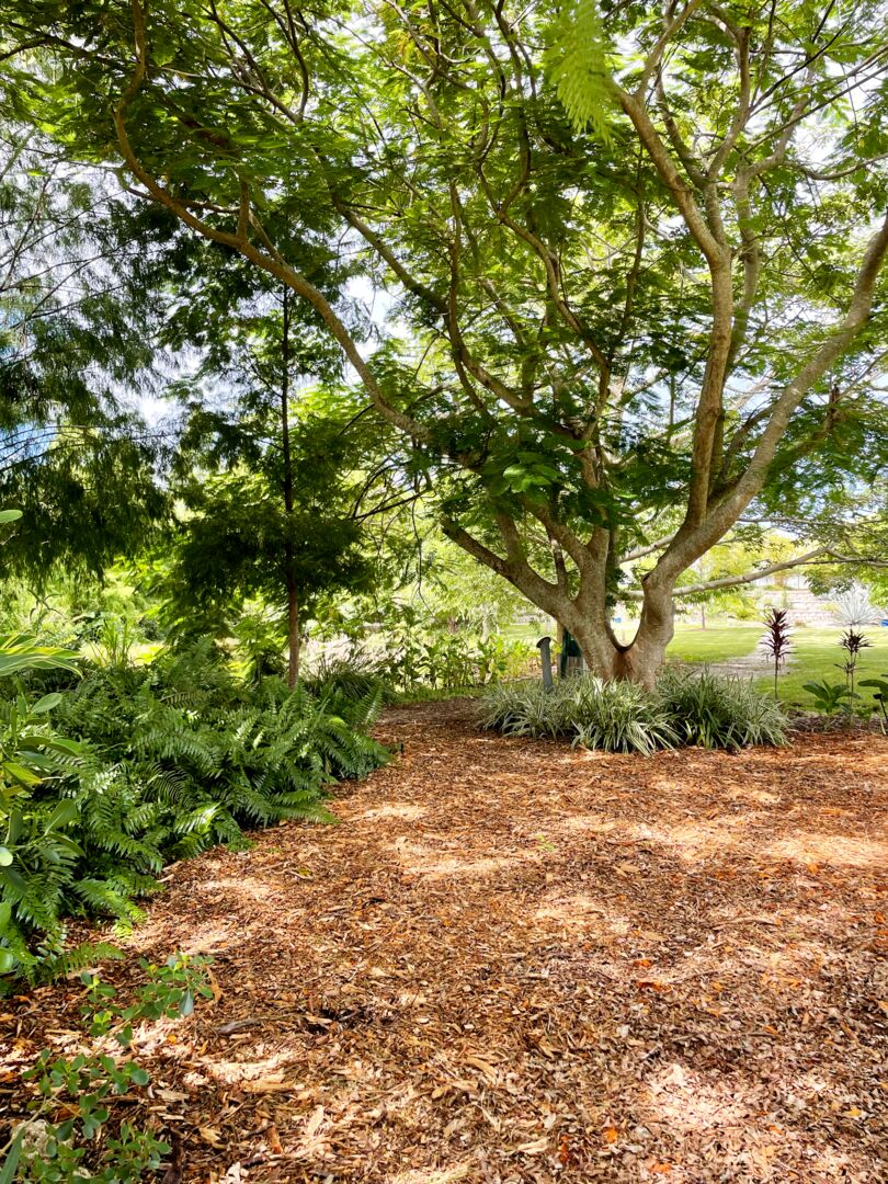 Palma Sola Botanical Park
