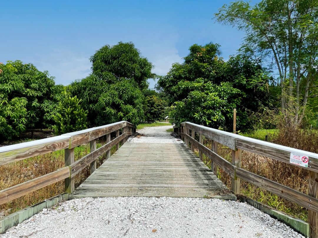 Palma Sola Botanical Park