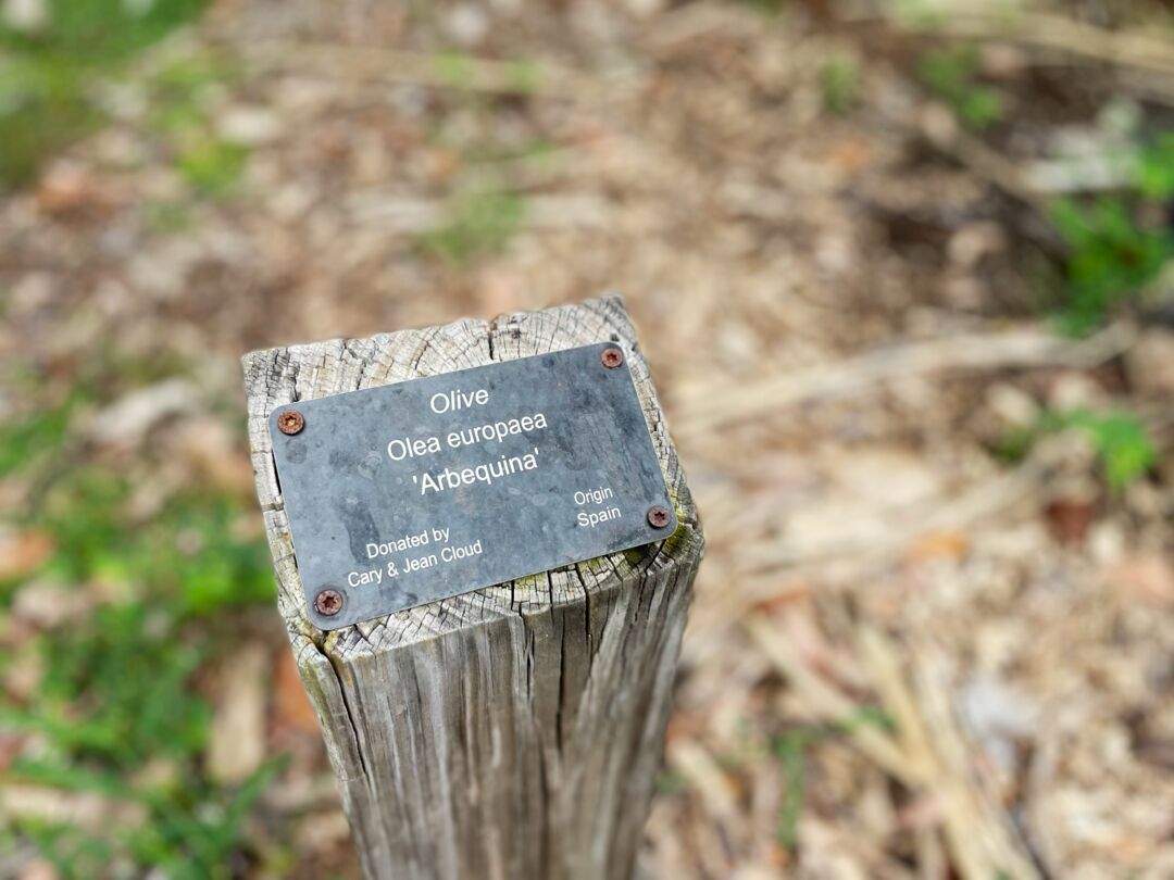 Palma Sola Botanical Park