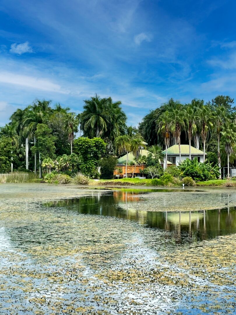 Palma Sola Botanical Park