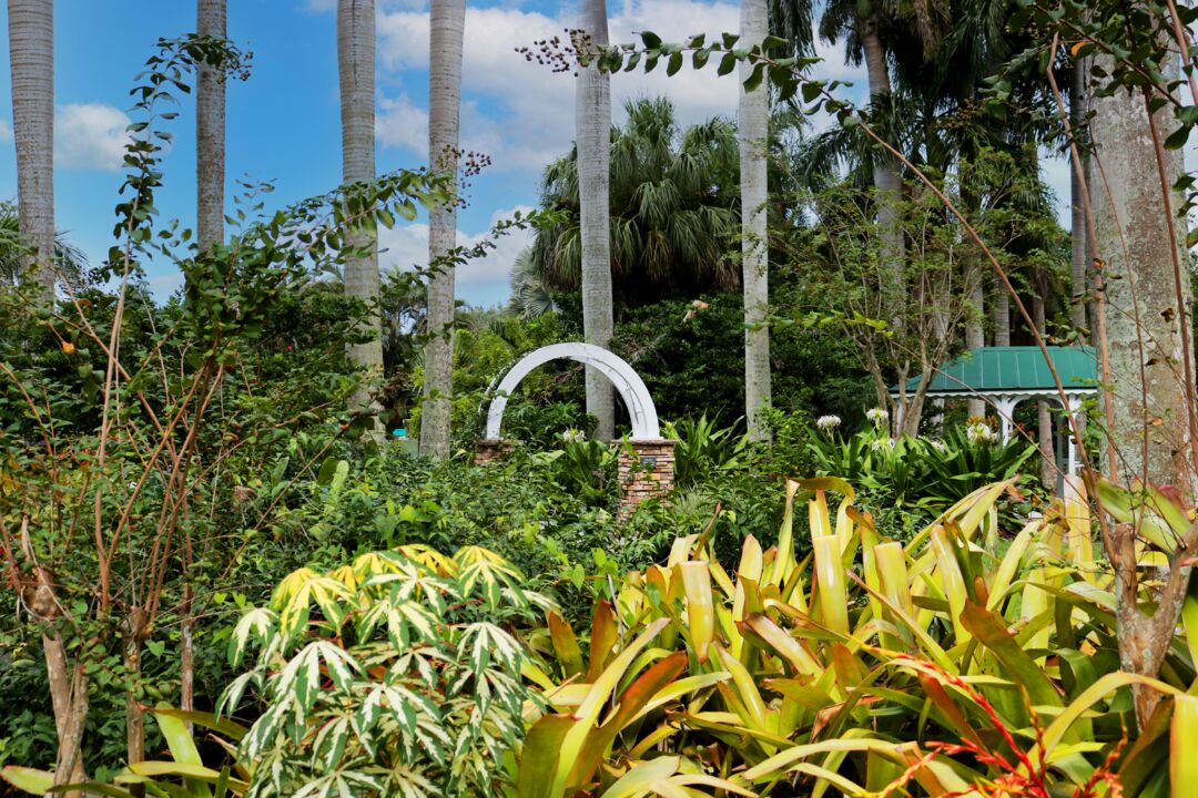 Palma Sola Botanical Park