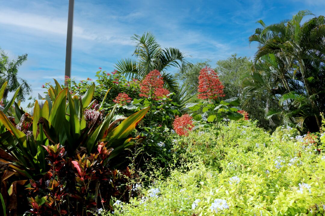Palma Sola Botanical Park