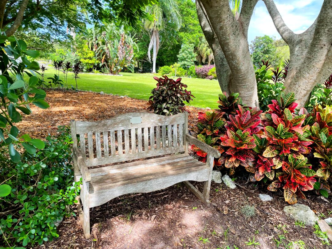 Palma Sola Botanical Park