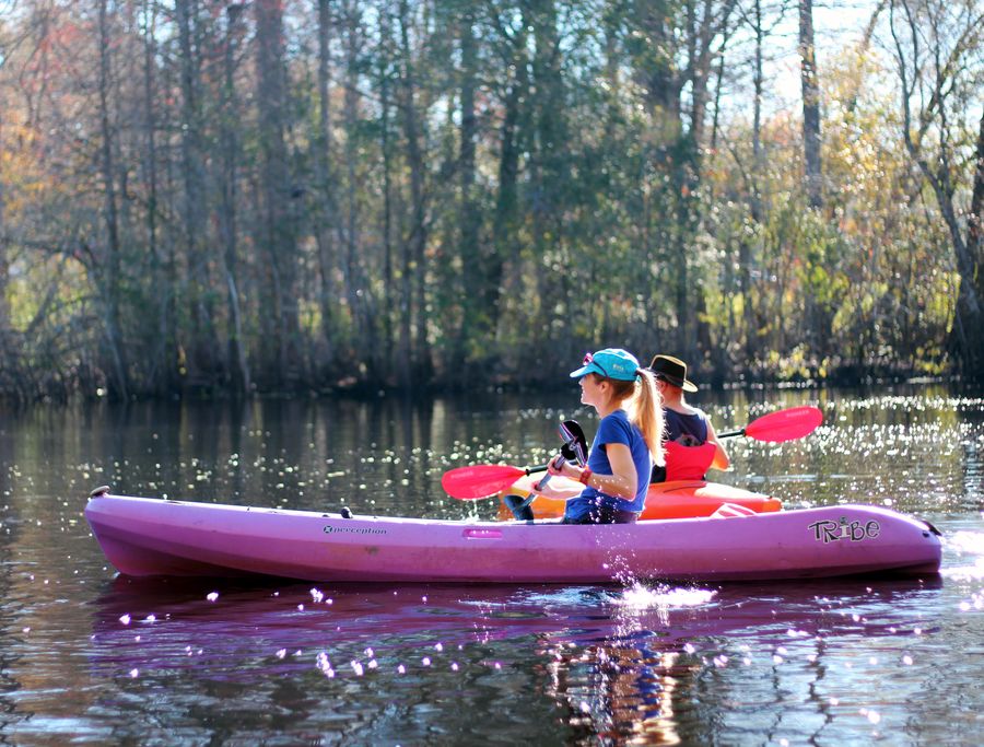 Kayaker on the Withlacoochee River, Brooksville, FL