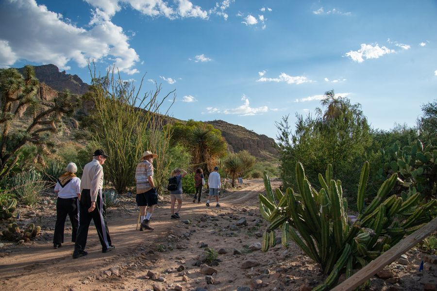 Boyce Thompson Arboretum, Tucson_credit Boyce Thompson Arboretum