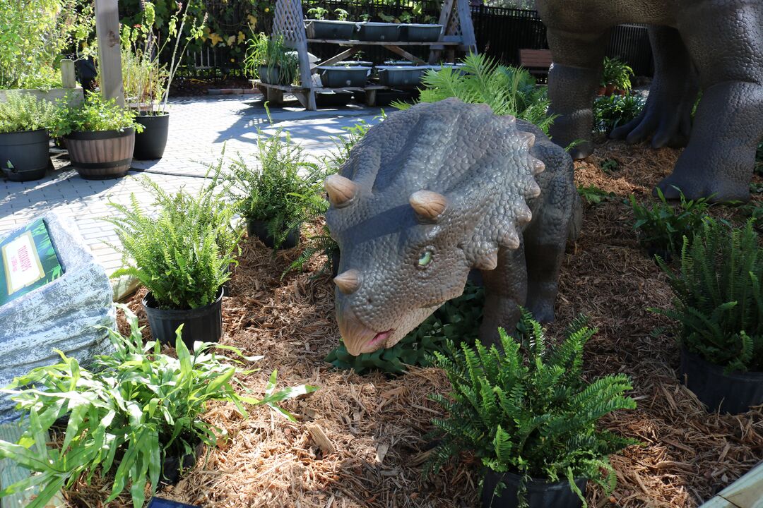 DINOVenture @ Bishop Museum