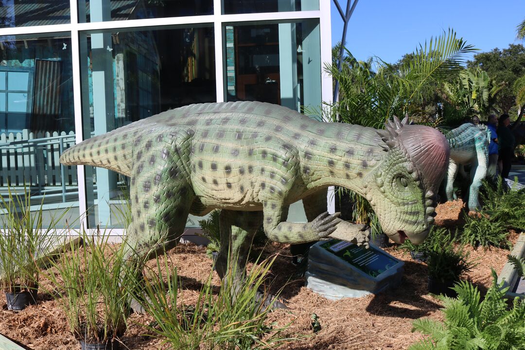 DINOVenture @ Bishop Museum
