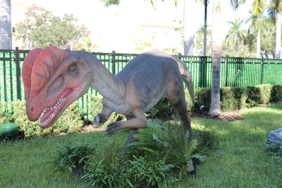 DINOVenture @ Bishop Museum