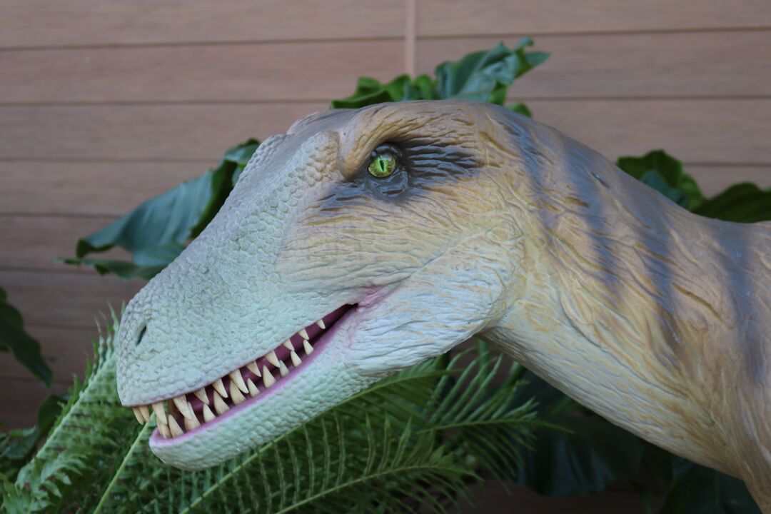 DINOVenture @ Bishop Museum