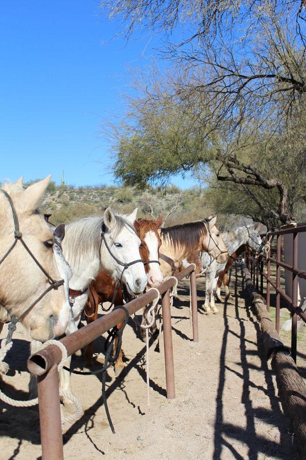 ay El Bar Guest Ranch, Wickenburg_credit Kay El Bar Guest Ranch