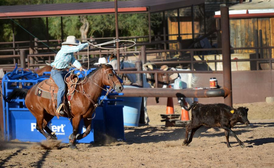 White Stallion Ranch, Tucson_credit White Stallion Ranch