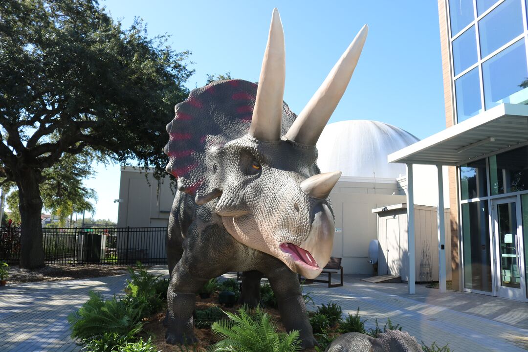 DINOVenture @ Bishop Museum