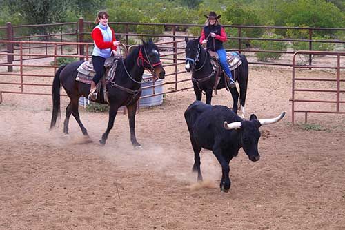 White Stallion Ranch