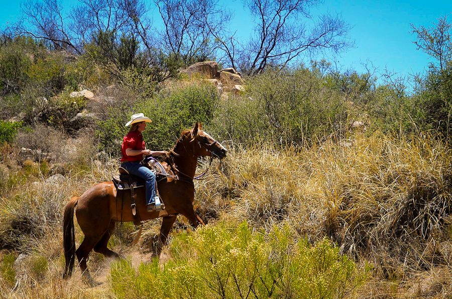 Tombstone Monument Guest Ranch