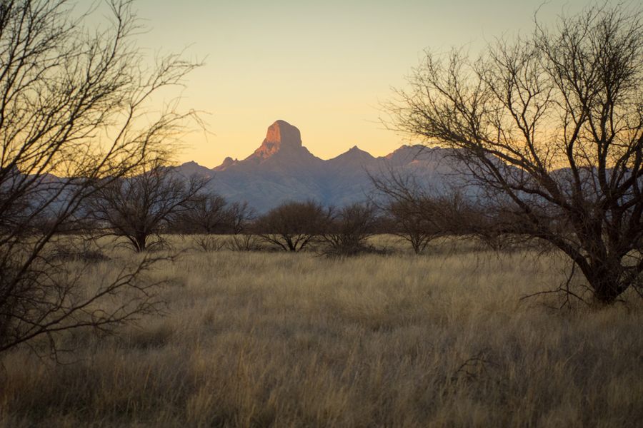 Rancho De La Osa, Sasabe_credit Bob Miller Photo